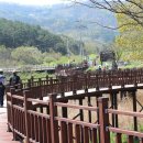 대청호오백리길 호반낭만길 이미지