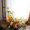 역삼-1284 | [강남 꽃집] 오렌지 다알리아, 서양 난 스승의날 추천 감사 꽃말 꽃바구니