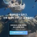 주식회사 거북 | 그레이트배리어리프 투어 총정리｜케언즈 출발 다운언더 스노클링 &amp; 다이빙 일정, 비용, 후기