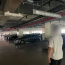 경동오토패밀리 | 기장 중고차 경동오토필드 자세한 구경 후기/차종류 진짜많아서 다보기 힘들었음