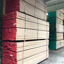 글로비스 이미지