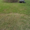 산소농장 이미지