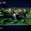 숲(Forest) 이미지