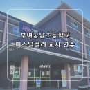 궁남초등학교 이미지