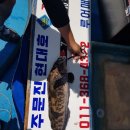 현대호낚시