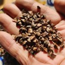 이혈요법 이미지