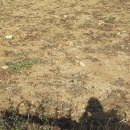 천상버스정류장 이미지