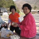 박인수농장 이미지