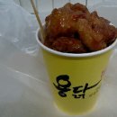 용닭
