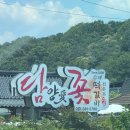투브라운커피와인학원 | 광주🍨🍷와 🌱담양🌳찍먹(브라운도트신안점/챔피언스필드...츄룹/호재/궁전제과/프엘투알/담양애꽃/죽녹원)
