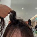 브이아이피케어 | 정부청사역/인덕원 준오헤어 헤어커트, 과천 미용실 헤어컨설팅받고 두피클리닉 스페셜케어, 커트 후기