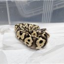 한강유역환경청 화장실 이미지