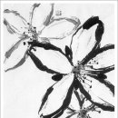 심화(心花) 이미지