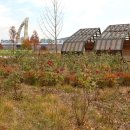 여울목수변공원 이미지