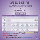 얼라인마샬아츠트릭킹아크로바틱센터