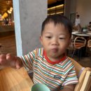 뉴월드약국 | 🔥 푸꾸옥 가족여행 #3 | 아쉬운 마지막 날, 뉴월드 리조트에서 한국까지 (2025.10.30)