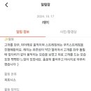 우쭈쭈플렉스 강아지 유치원 호텔 이미지