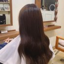성광소프트 | 강남역 미용실 제이살롱 붙임머리 시설 깔끔으로 유명한 곳의 이용 비용 안내