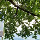 청도박물관 이미지