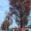 대성세차장 이미지