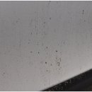 프리미엄세차광택 이미지