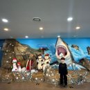 상어가족 인형뽑기 이미지