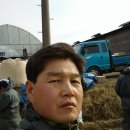 웅담2리 Daum카페