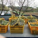 초촌농장 이미지