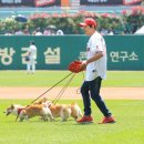 주병진 카카오 검색결과