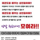 영등포 참피온 태권도 이미지