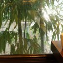 용산-후암-1980 이미지