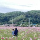 소월리 마을회관 이미지