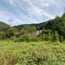 중광농장 이미지