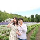 영규농장 이미지