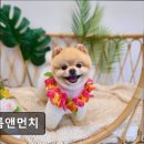 그룸 앤 먼치 네이버블로그