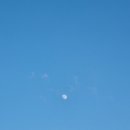 수원-0606 네이버블로그