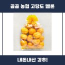 곰곰 농협 고당도 멜론 추천 리뷰