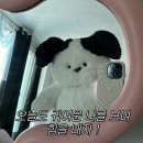 뭉실뭉실 | 뭉실뭉실