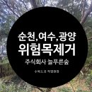 주식회사 푸른나무