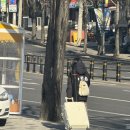 (주)베스트에이스 | 북의 울림속에서 서로를 만나 아름다움이 시작되다 - 구정놀이 전수후기