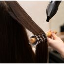 달리살롱 이미지