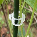 다모아PC 이미지