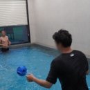 트리풀하우스 이미지