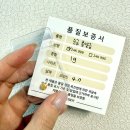 골드비전 | 소소하게 시작한 콩알금 모으기 2탄 / 골드비전 콩알금공구 구입후기