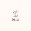 디자인단샘
