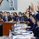 국회에서 국힘 김태규의 고성·반말 난장판 이미지
