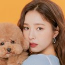 라이브펫 이미지