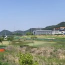 역천파크골프장 이미지