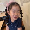 7번국도명품달인김밥 | 타기, 성서 정은실내포차, 울산 오광이네, 종가돼지국밥, 모도 수박주스, 대호, 경주 7번국도 명품달인김밥