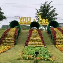 장성농협주유소 이미지